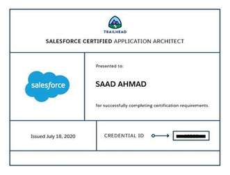 Application Architect